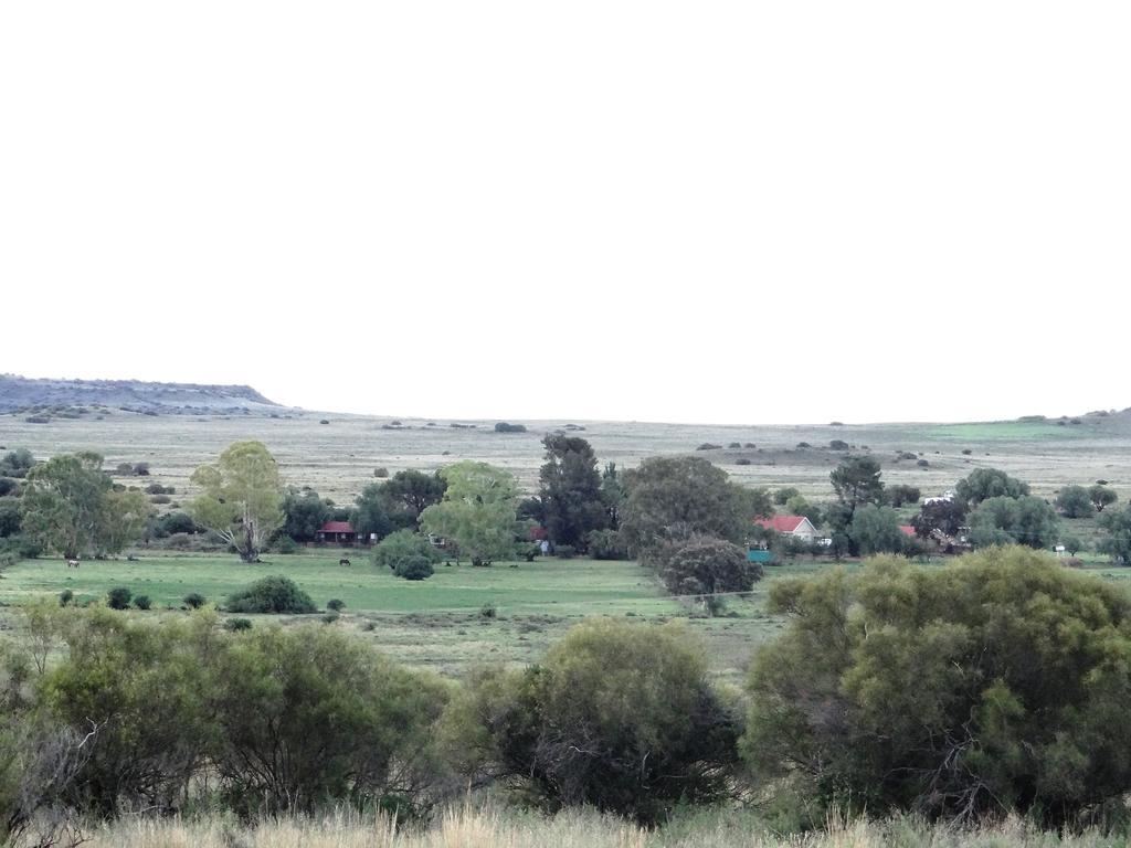Garingboom Guest Farm Villa Springfontein Exteriör bild